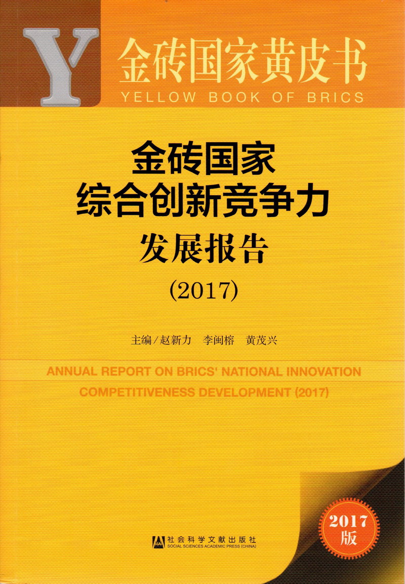 嗯嗯啊啊啊啊啊视频金砖国家综合创新竞争力发展报告（2017）